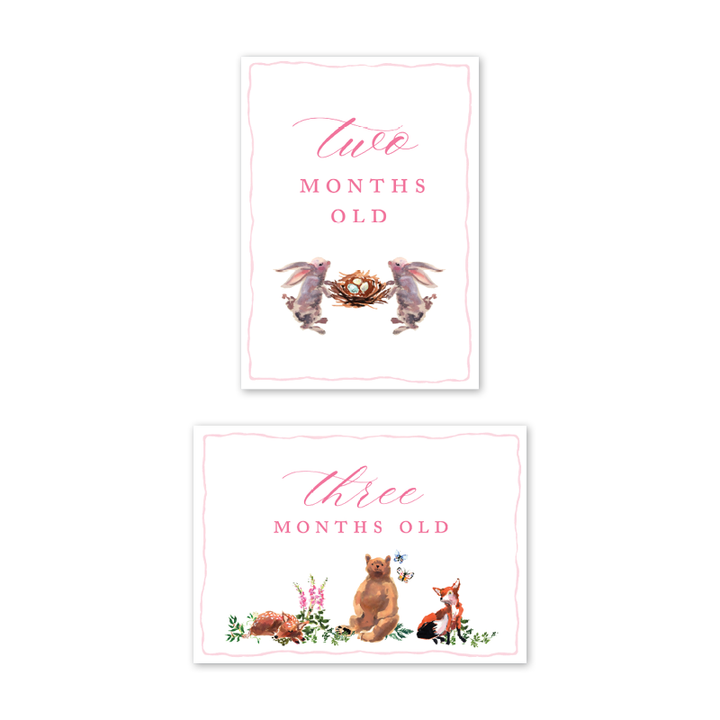 Dogwood Hill - Woodland Pink Milestone Cards: Milestone Cards - Set of 15