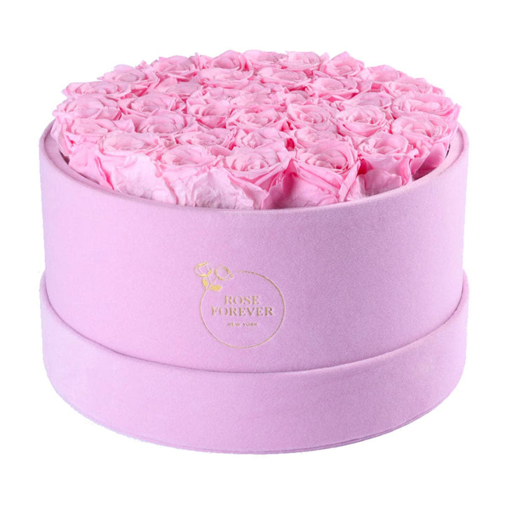 Rose Forever - Intense Pink Suede Pearl Pink 36