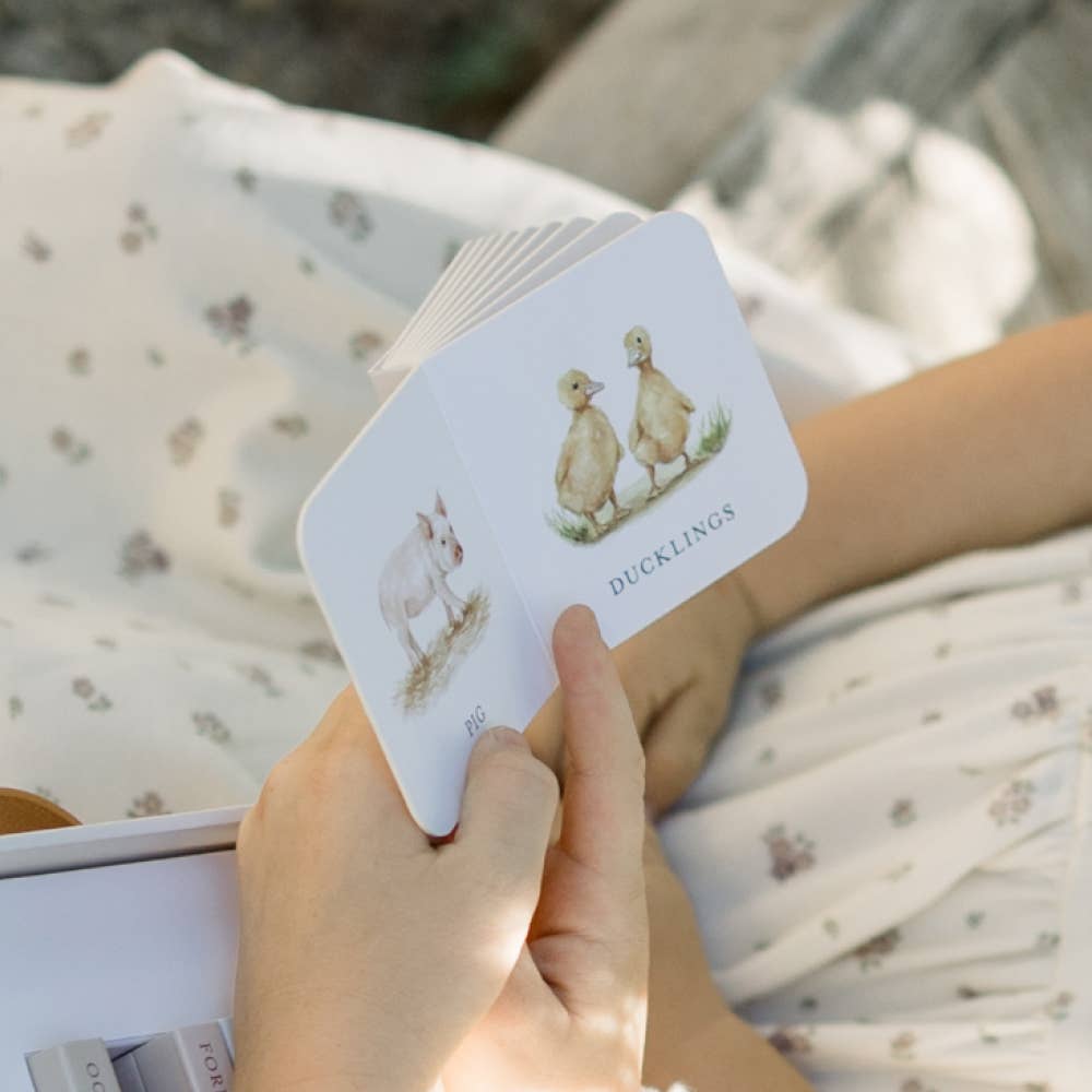 Paige Tate & Co. - Our Very Little Library Board Book Set (Easter Gifts)