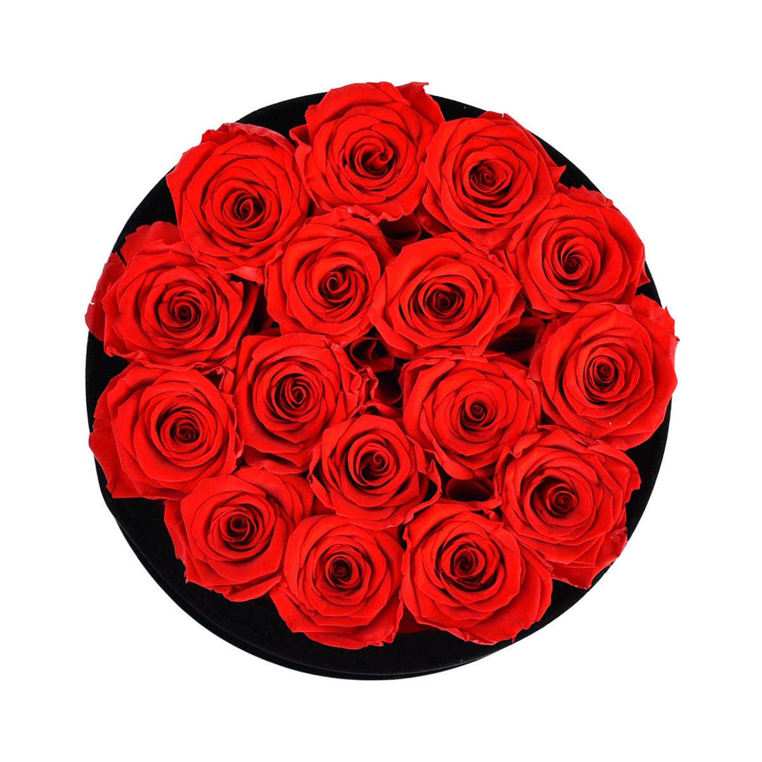 Rose Forever - Red Roses Velvet 16