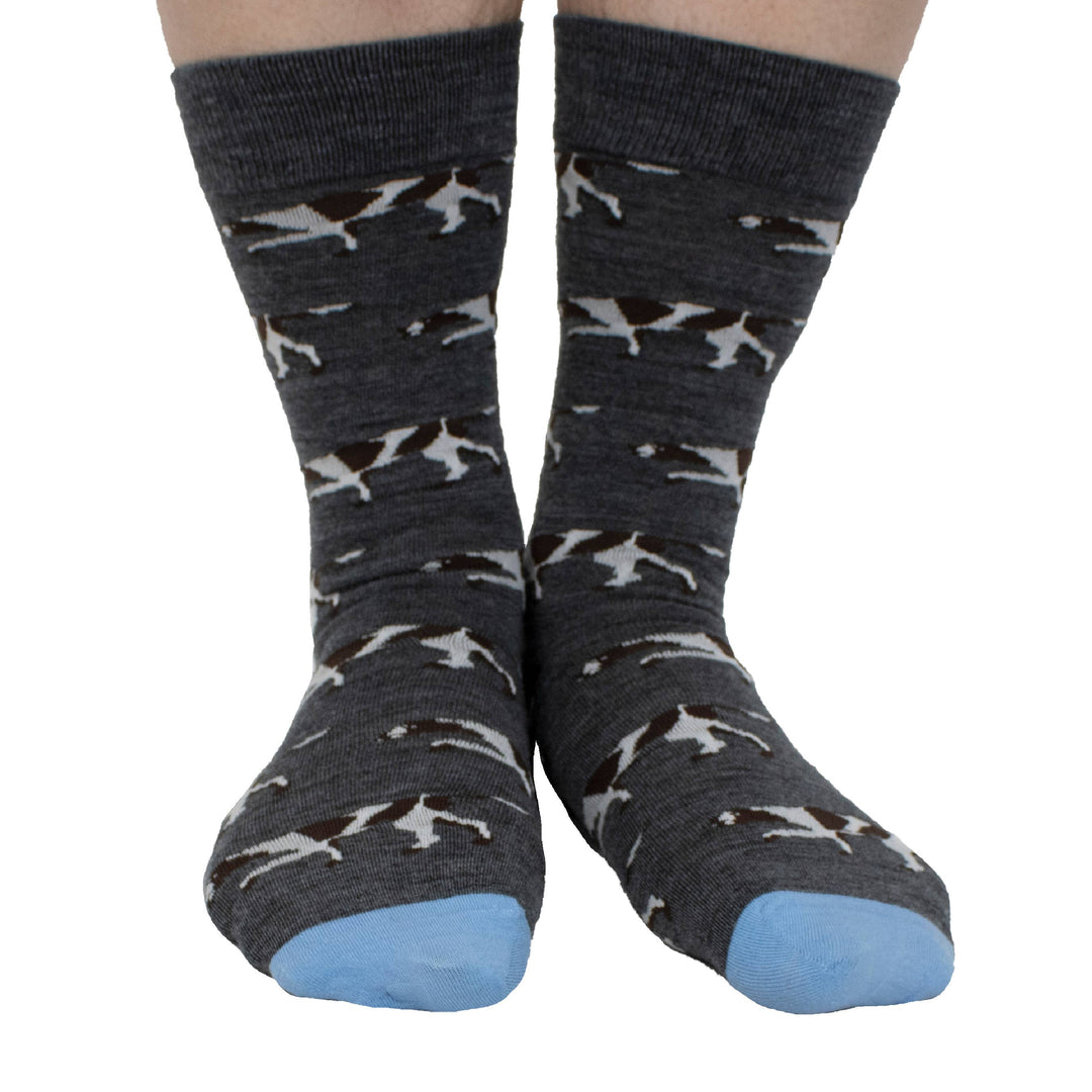 hunting feet - POINTER IN CHARCOAL