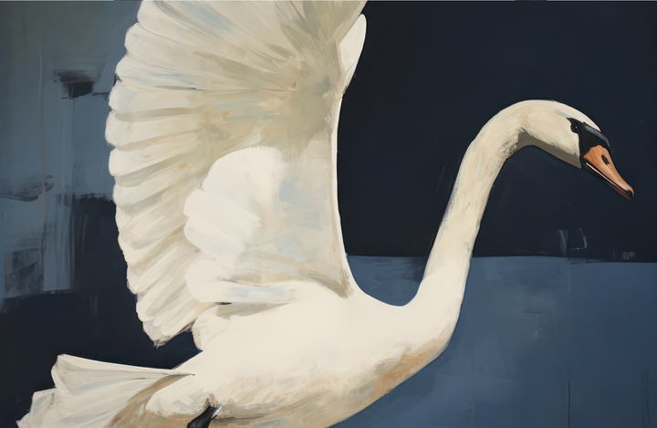 TAYLOR GRAY - 11x17 ECLECTIC MOODY insert set of 10