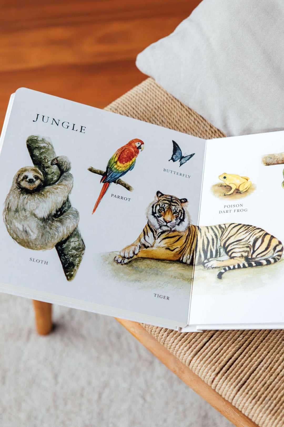 Paige Tate & Co. - Our Big Book of Animals (Board Book)