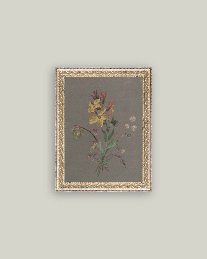 Petal Lane Home - French Wildflowers Framed Antique Art: 5x7