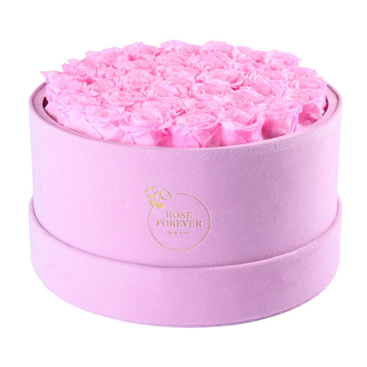 Rose Forever - Intense Pink Suede Light Pink 36