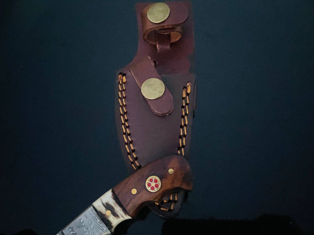 Titan International - DAMASCUS STEEL FIXED BLADE KNIFE WITH WALNUT & STAG HORN HAN