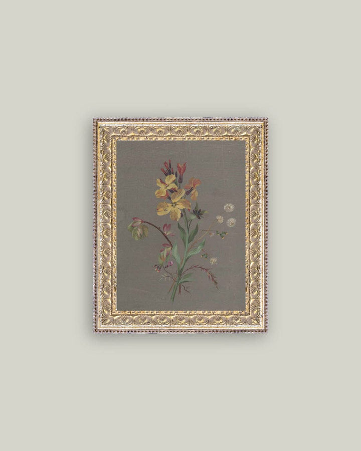 Petal Lane Home - French Wildflowers Framed Antique Art: 5x7