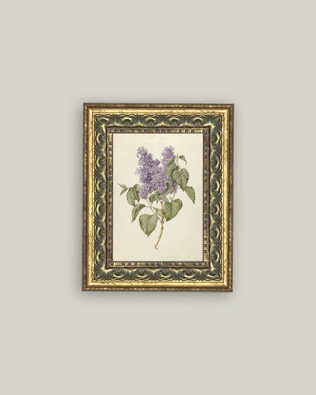 Petal Lane Home - Lilac Branch Framed Antique Art: 24x32