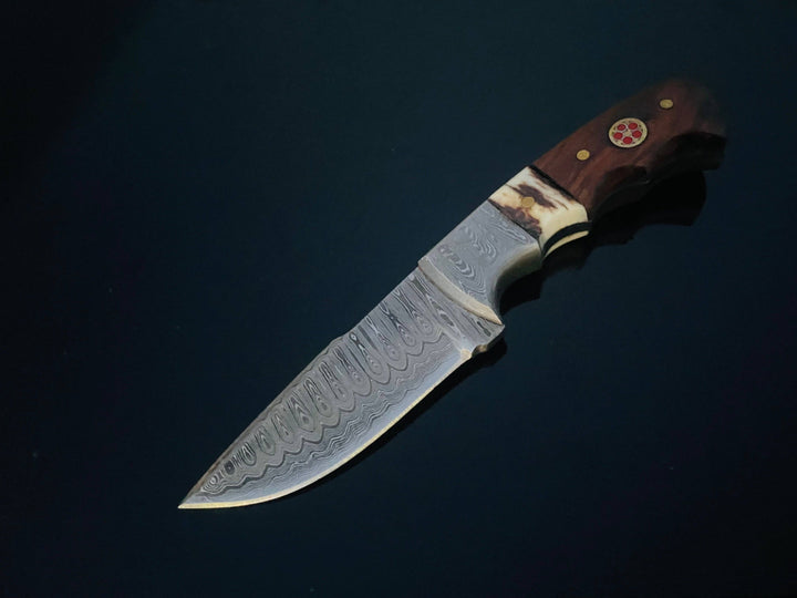 Titan International - DAMASCUS STEEL FIXED BLADE KNIFE WITH WALNUT & STAG HORN HAN