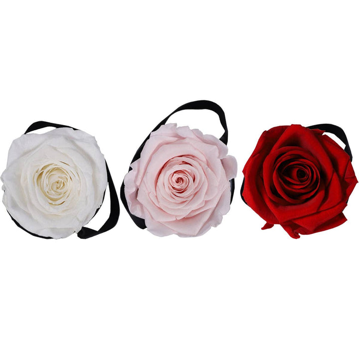 Rose Forever - Red roses mini