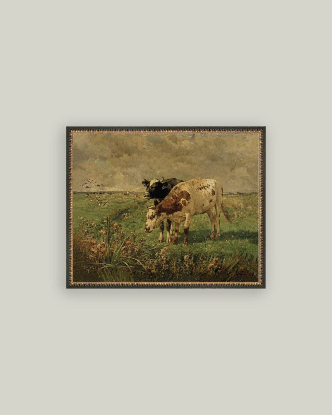 Petal Lane Home - Black and Brown Cows Framed Antique Art: 10x8