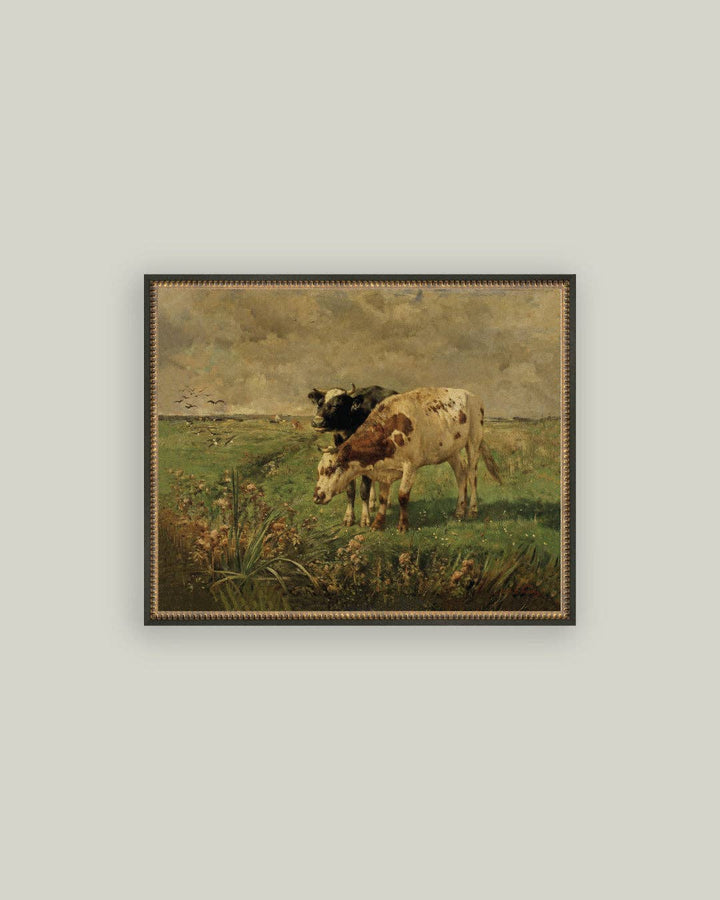 Petal Lane Home - Black and Brown Cows Framed Antique Art: 10x8