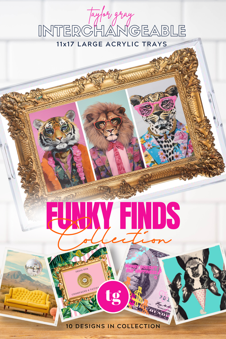 TAYLOR GRAY - 11x17 FUNKY FINDS insert set of 10