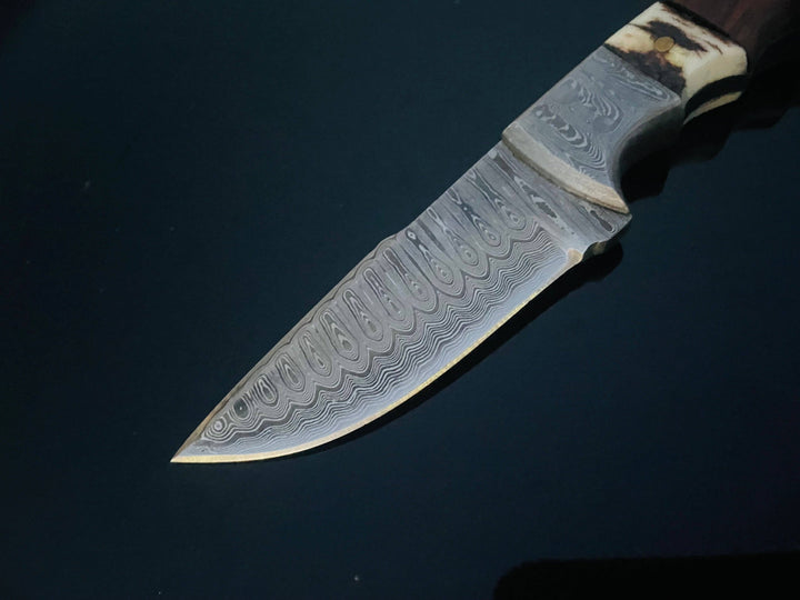 Titan International - DAMASCUS STEEL FIXED BLADE KNIFE WITH WALNUT & STAG HORN HAN