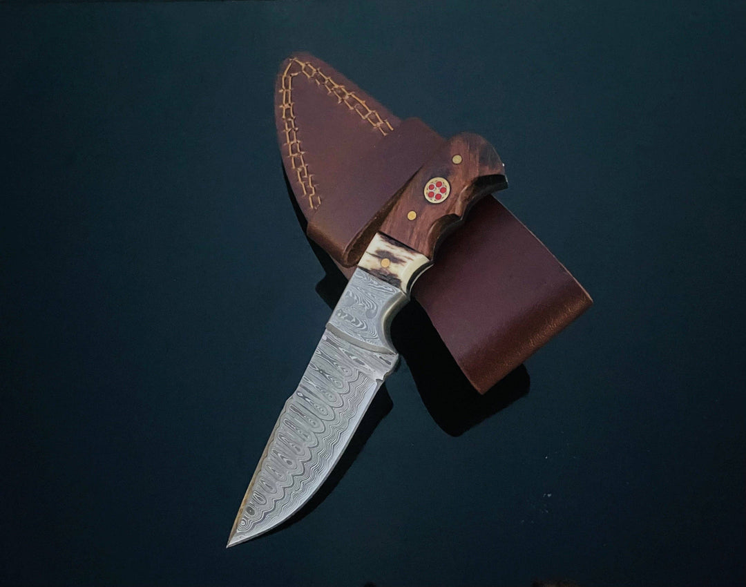 Titan International - DAMASCUS STEEL FIXED BLADE KNIFE WITH WALNUT & STAG HORN HAN