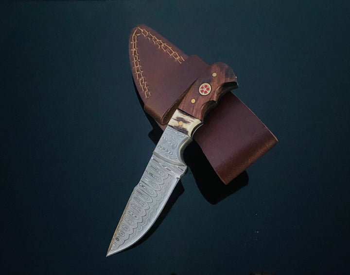 Titan International - DAMASCUS STEEL FIXED BLADE KNIFE WITH WALNUT & STAG HORN HAN