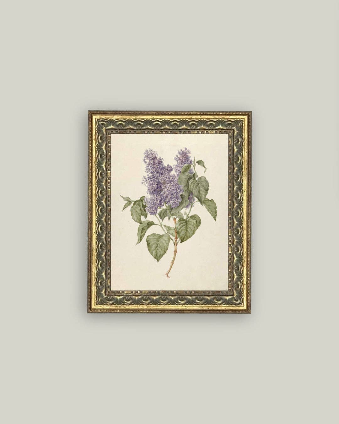 Petal Lane Home - Lilac Branch Framed Antique Art: 24x32