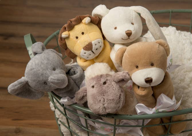 Birchwood Trading - Animal Banky: Lion