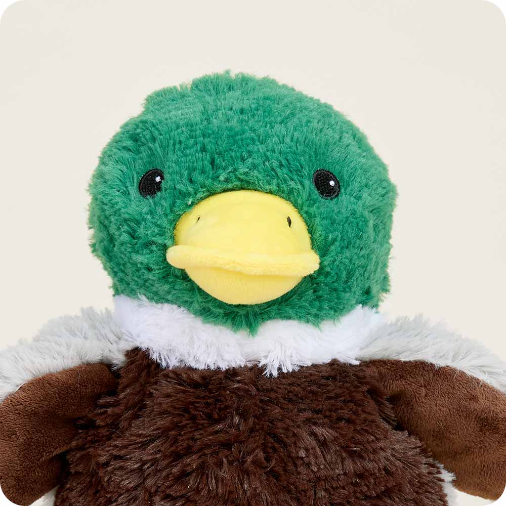 Warmies - Lavender Scented Plush - Gifts - Summer Market - Mallard Warmies Heatable Plushie Lavender Scented Weighted