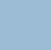 The Classic Baby - Hooded Terry Bath Towel for Baby and Toddlers | Plush Terry: Blue Gingham