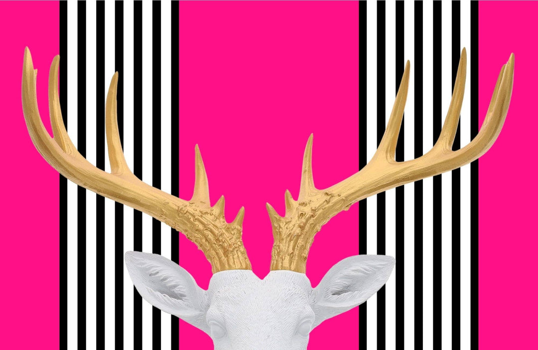 TAYLOR GRAY - 11x17 MALLORY DOUGHERTY insert set of 10