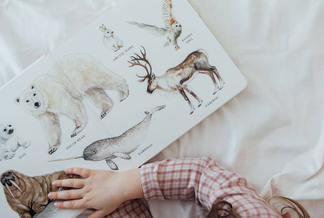 Paige Tate & Co. - Our Big Book of Animals (Board Book)