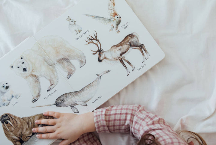 Paige Tate & Co. - Our Big Book of Animals (Board Book)