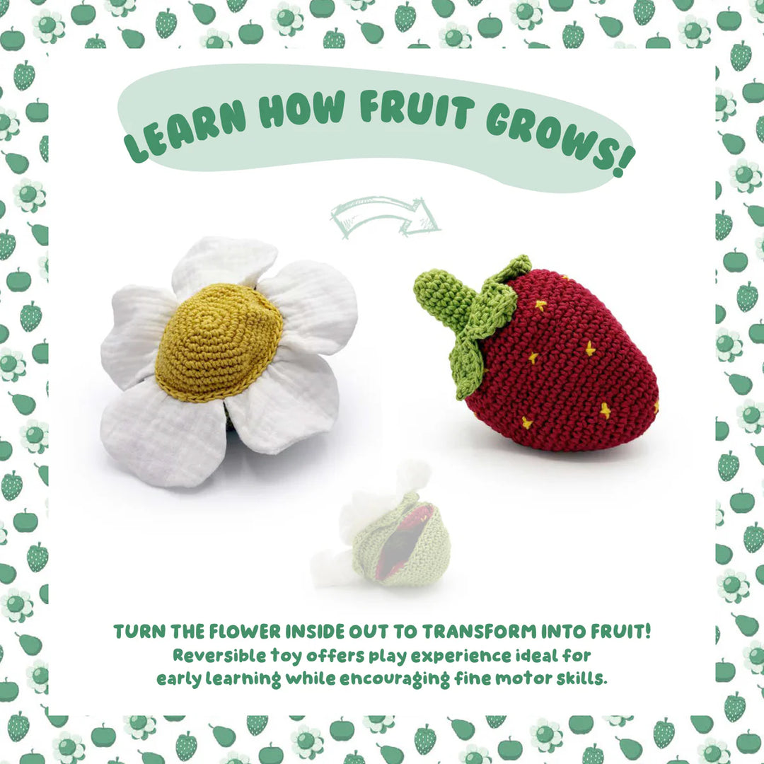 Strawberry Reversible Toy