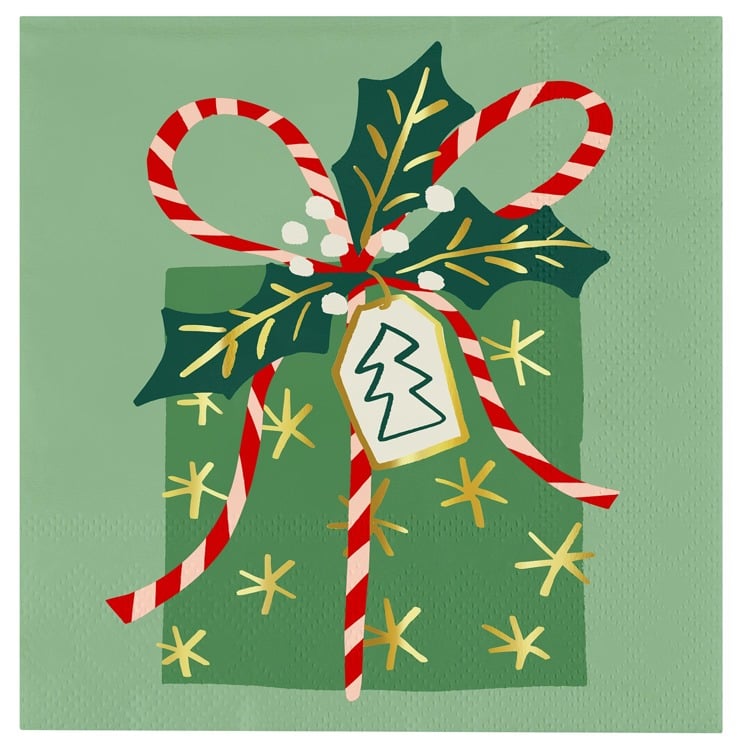 Crmc Napk Ty + Npk - Present