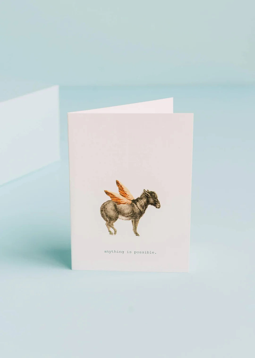 Margot Elena Greeting Cards