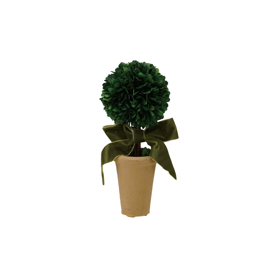 Dried Boxwood Tree in Terra-cotta Pot W Green Velvet Bow