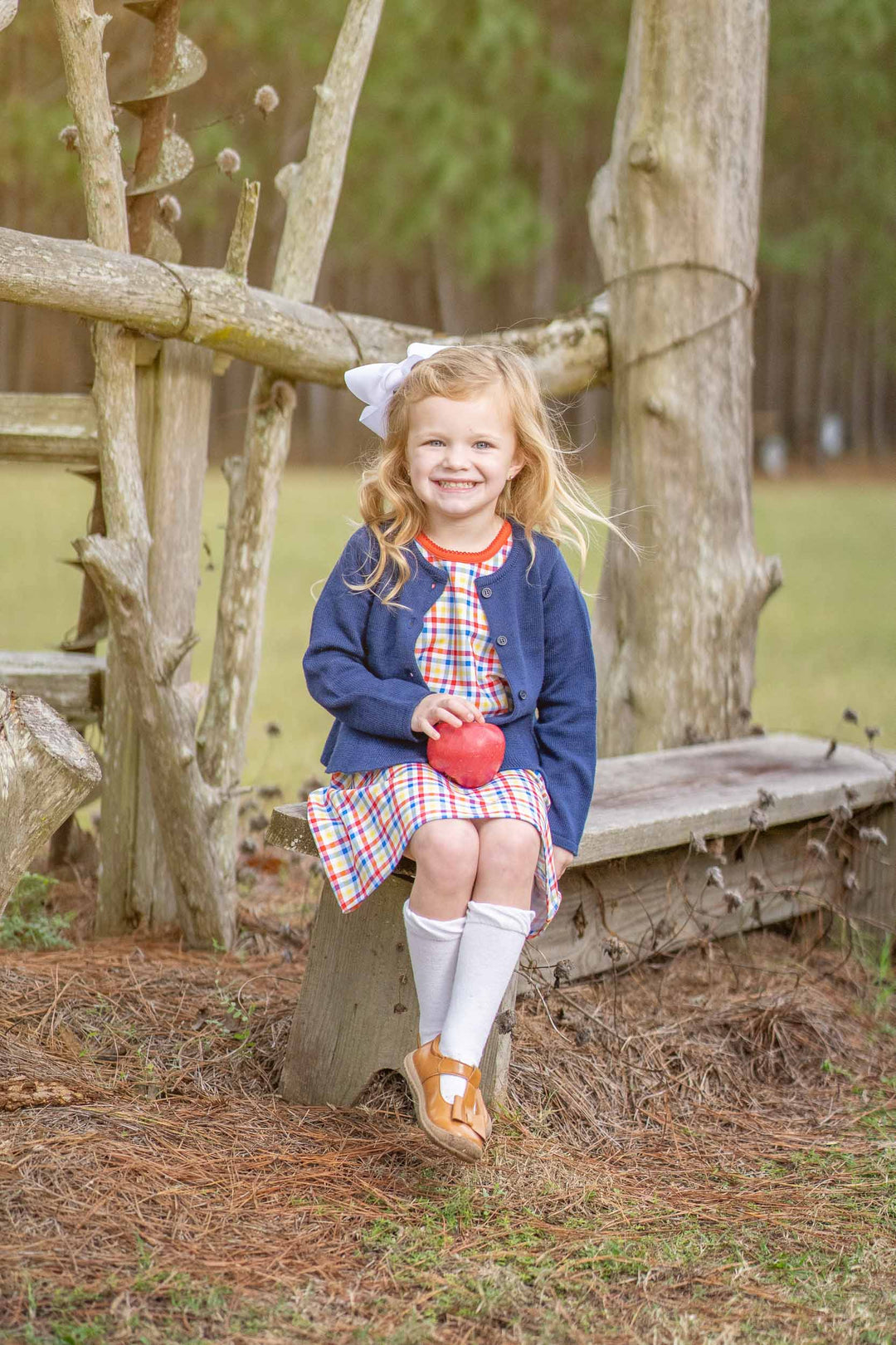 Mary Chase Primary Plaid Dress