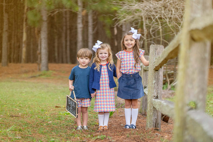 Mary Chase Primary Plaid Dress